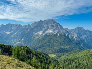 Fototapeta premium Scenic view of rugged mountain peak Jof di Montasio surrounded by coniferous forest. Majestic ridges of Julian Alps in Somdogna, Friuli Venezia Giulia, Italy. Wanderlust in Italian Alps in summer. Awe