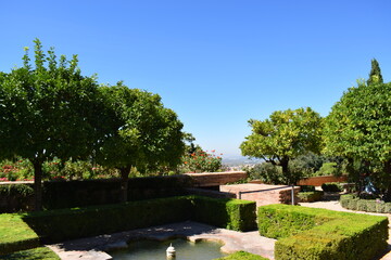garden in the park
