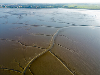 Aerial view of the tidal channels showing a fractal like structure, The Netherlands