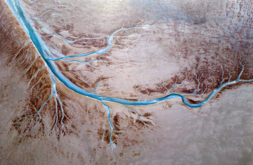 Aerial view of the tidal channels showing a fractal like structure, The Netherlands