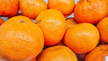 Citrus fruits. Close up of citrus fruits in group and sale in fruits market. Citrus fruits is a genus of flowering trees and shrubs. Oranges, lemons and limes. 