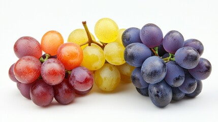 Fototapeta premium Colorful clusters of grapes display hues of red, green, yellow, and purple, ready for the winemaking process. Each bunch glistens with moisture, indicating freshness and quality