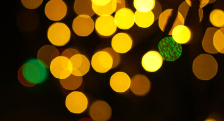 Photo of holiday lights lit up in different colors