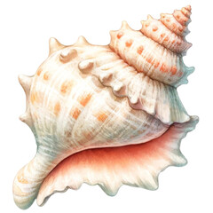 Vibrant Seashell Illustration with Pastel Colors.