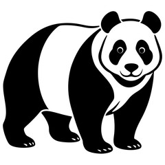 panda bear vector