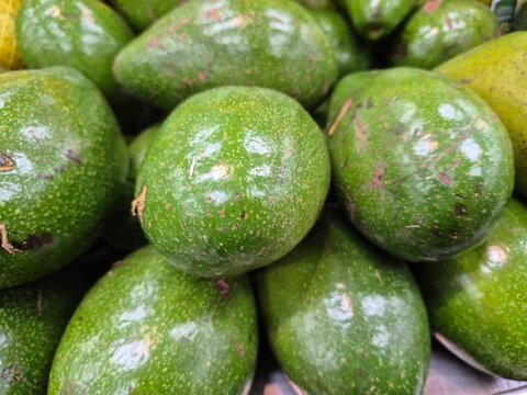 fruta abacate