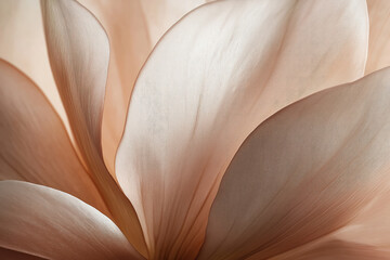 delicate flower petal texture in mocha mousse color, showcasing the softness and natural beauty ideal for floral designs in the color of the year 2025