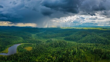 Obraz premium Breathtaking Russian Taiga Landscape Before a Storm
