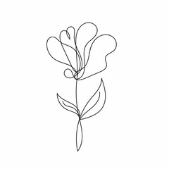 hand drawn flower