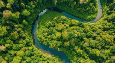Lush greenery embracing serpentine river