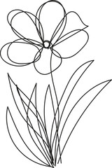 black and white flower