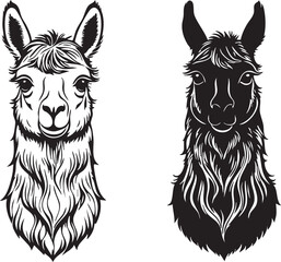 Llama Head Vector Design