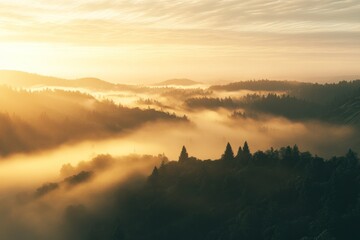 Obraz premium Mystical Sunrise Over Misty Forested Hills