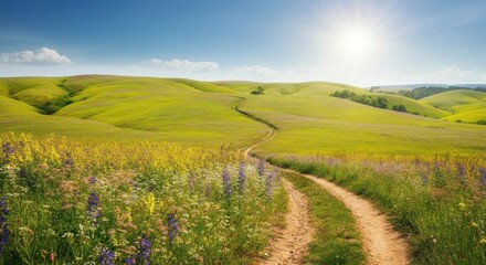 Fototapeta premium Serene countryside trail amidst blooming wildflowers on sunny day