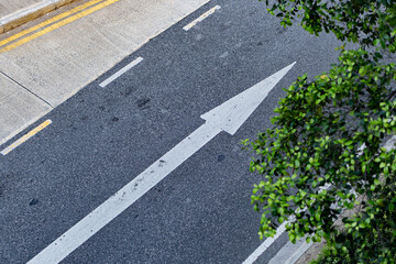 Fototapeta premium arrow marking on a road with a tree in the foreground