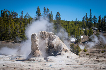 Geyser, Yellowstone National Park