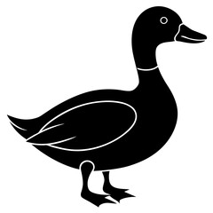 duck