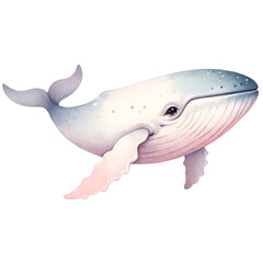 Fototapeta premium Watercolor Blue Whale Illustration in Soft Tones.