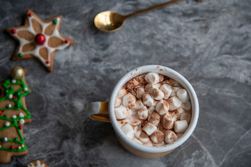 cup of hot chocolate during christmas