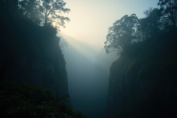 Tranquil Morning Light Dances Through a Misty Canyon Surrounded by Lush Forest and Silhouetted Trees in a Serene Landscape Scenario