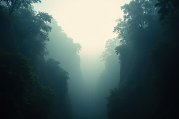 Misty Forest Canyon Landscape with Trees and Fog Amidst Surrounding Natural Beauty for Tranquil, Peaceful Ambiance