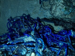 Blue fishing net.