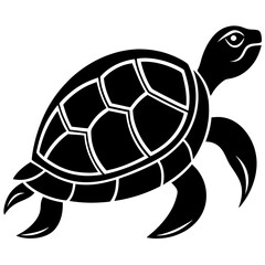 turtle illustration