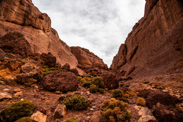 Fototapeta premium 2024 03 13 Jebel Saghro Atlas rocks 182