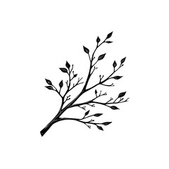 Obraz premium Elegant branch with leaves, perfect for nature themed designs and s. This simple yet beautiful element adds touch of greenery to any project. isolated on transparent background
