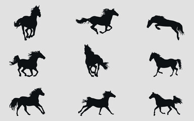 A set of black silhouettes of a sports horse. Vector on black background