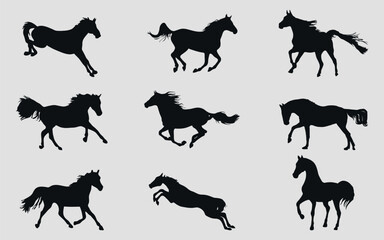 A set of black silhouettes of a sports horse. Vector on black background