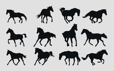 A set of black silhouettes of a sports horse. Vector on black background