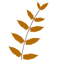 Fototapeta premium Brown Decorative Branch Illustration art