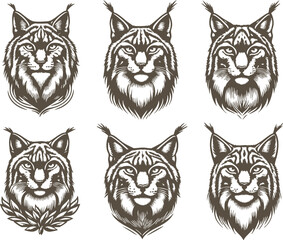 Elegant Lynx Head Vectors for Wildlife Conservation Projects
