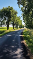 Fototapeta premium A road with trees on either side and a clear blue sky
