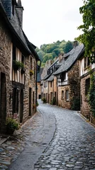Photo sur Plexiglas A narrow cobblestone street with a row of houses on either side