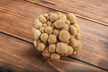 Raw asiam delicacy mushroom Shimeji