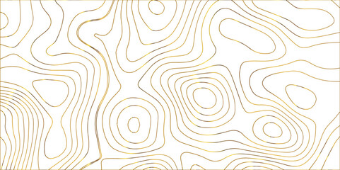 Topographic map background. Geographic mountain relief. Topo contour map on white background. geographic line map. Vector illustration. Seamless ornament design.