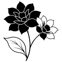 black and white flower