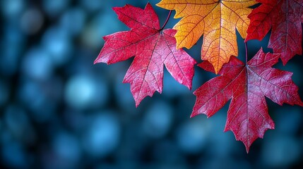 A bunch of red and yellow leaves hanging from a tree