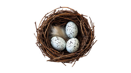 Obraz premium Birds nest isolated on transparent background