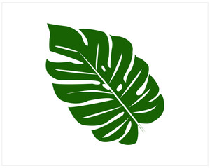 Best Leaf Vector Design And Art