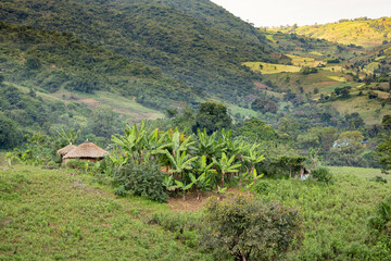 Beautiful African landscape of huts, banana trees and mountains in Ethiopia.