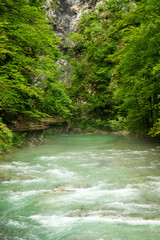 Beautiful Vintgar canyon in Slovenia