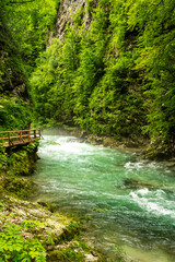 Beautiful Vintgar canyon in Slovenia