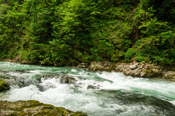 Beautiful Vintgar canyon in Slovenia