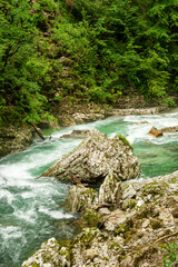 Beautiful Vintgar canyon in Slovenia