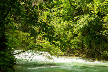 Beautiful Vintgar canyon in Slovenia
