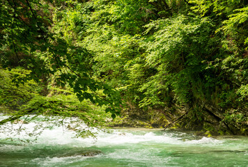 Beautiful Vintgar canyon in Slovenia