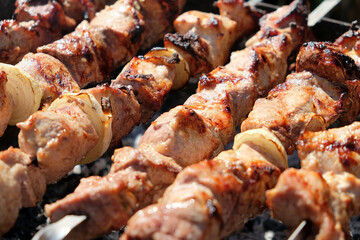 Juicy Grilled Meat Skewers on Barbecue